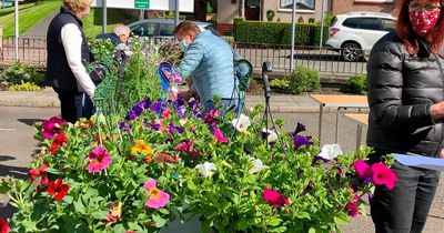 Popular Lanarkshire plant sale back in full bloom this month