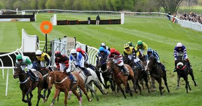 Horse racing tips plus best bets for Musselburgh, Goodwood, York, Haydock, Lingfield and Stratford
