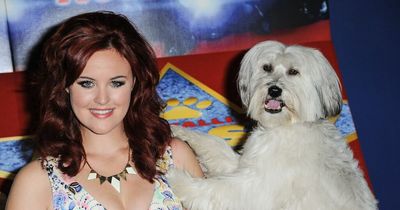 Britain's Got Talent's Ashleigh and Pudsey's 'jealous' rift, sudden death and new dog