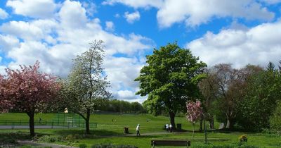 Lanarkshire park needs volunteers to help with upcoming events