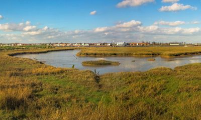 How London’s new Elizabeth line has created a sanctuary for birds