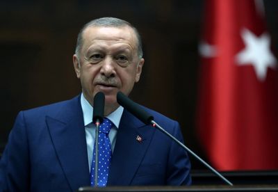 Turkey expects concrete Swedish steps on terrorism, Erdogan says - Anadolu