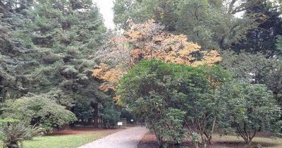 Air ambulance called to police incident in Cardiff park