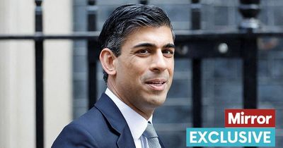 Rishi Sunak signs off half a million of taxpayers' cash for focus groups and polls