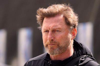 Ralph Hasenhuttl: 10 years in top flight ‘massive’ but no guarantee for future
