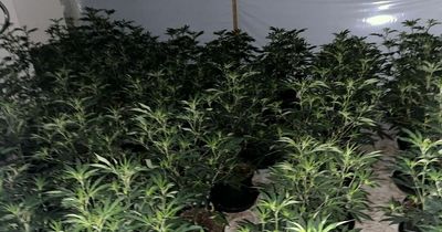 Footsteps on stairs at night was the only sign of drug factory