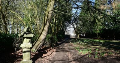 Woman attacked by man in park who tried to drag her into woods