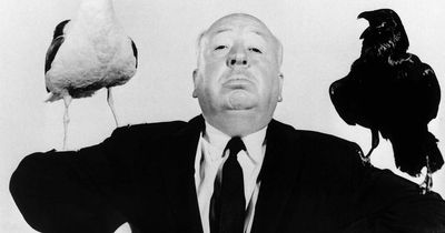 MOVIE MEMORIES: Peering out from behind the couch as we put the 'master of suspense' Alfred Hitchcock under the microscope