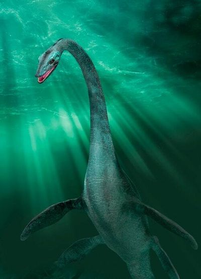 Why even a new mysterious video isn’t proof enough of the Loch Ness Monster
