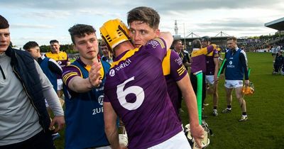 Wexford stay alive in Championship with historic win over Kilkenny at Nowlan Park