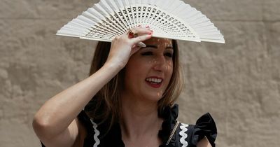 Brits urged to take cover amid Spanish heat warnings as temperatures soar to over 40C