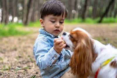 U.K. report ties hepatitis in kids to dogs — an immunologist points out a major flaw