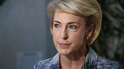 Federal election 2022 updates: Coalition's support of Clive Palmer affected WA vote, Michaelia Cash says