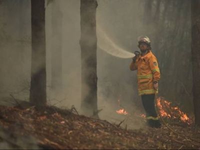 What Australia’s new prime minister will do next and why result ‘sends clear message on climate action’