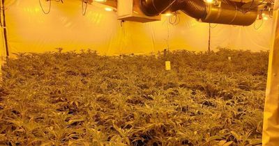 Massive cannabis farm hidden in former care home busted by police