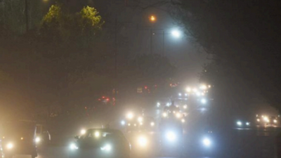 Delhi weather: Respite after strong winds, light rain to stay for 3 days