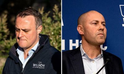 Tim Wilson admits defeat but other Liberal MPs yet to concede to teal independents