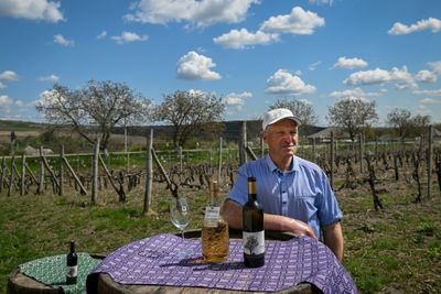 Moldova wine industry's EU focus pays off