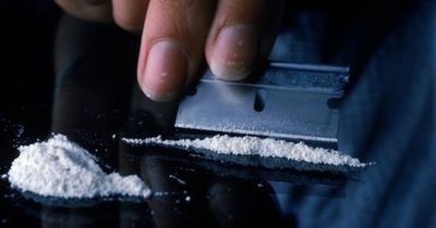 What cocaine does to the body