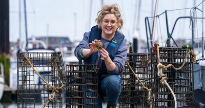 Oyster nursery established in Belfast Lough in bid to bring them back from the brink of extinction