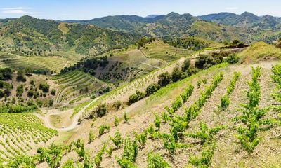 Digging up the best wines by vineyard soil type