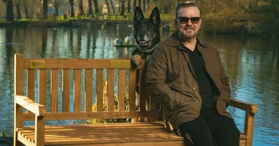 Fury as After Life bench from Ricky Gervais Netflix show 'destroyed' by vandals