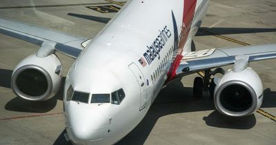 Missing plane MH370 'was deliberately taken off course by pilot', expert claims