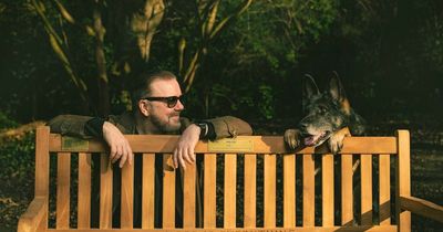 Fury as Netflix After Life bench destroyed by 'disgusting' vandals