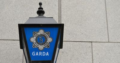 Two men charged after burglary in south Dublin industrial park