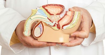 'Penile cancer is usually slow-growing and when caught early a cure is possible'