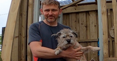 Health conscious Edinburgh dog walker puts his pet on a completely vegan diet