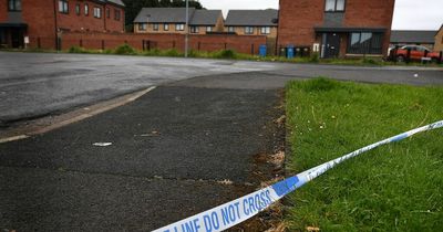 Man left with head injury after being attacked with weapon in 'disorder'