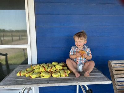 Toddler orders 31 McDonald’s cheeseburgers after mother leaves phone unlocked