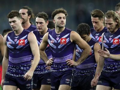 Pies delivered Dockers stern reality check