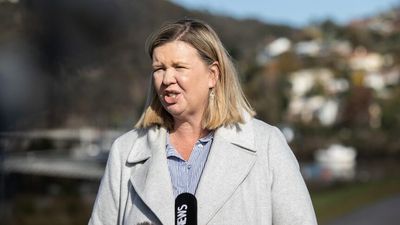 Bridget Archer considering tilt for spot on federal Liberal leadership team after Josh Frydenberg's election loss