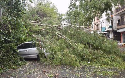 Gusty winds, rain lash Delhi; trees uprooted, power outages reported in many parts of city