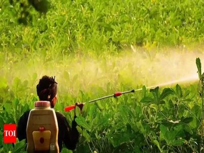 Andhra Pradesh: NTR district to focus on effective pest control