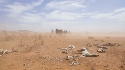 COP15 conference on desertification fails to agree on binding protocol