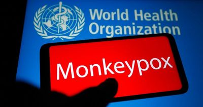 Monkeypox virus: WHO concerned summer could see virus spread