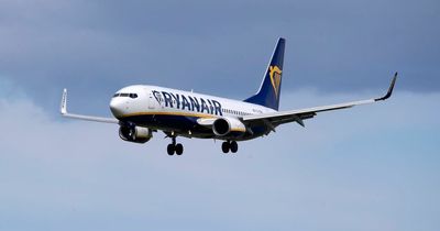 Ryanair steward arrested and sacked after viral snaps show him 'downing booze' on flight