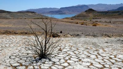 As Lake Mead Dries Up, Bodies Of More Homicide Victims Are Likely To Be Found