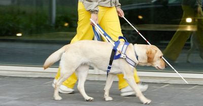 M&S staff orders blind man to take his guide dog out of shop as he's 'humiliated'