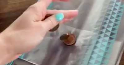 Mrs Hinch fans share cheap 'penny trick' to keep flies out of your home in summer