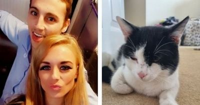 Couple's cat walks through front door - hours after they buried him