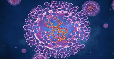 Key monkeypox symptoms to look for as first case in Scotland confirmed