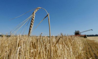 UK backs Lithuania’s plan to lift Russian blockade of Ukraine grain