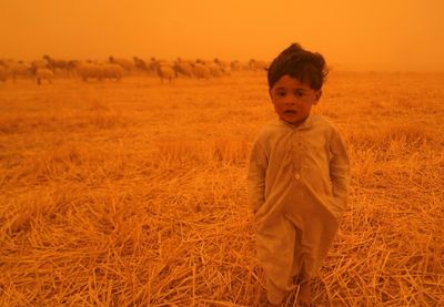 Iraq sandstorm grounds flights, sends 1,000 to hospitals