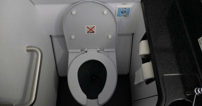 Flight attendant reveals passengers should avoid using plane toilet paper for one disgusting reason