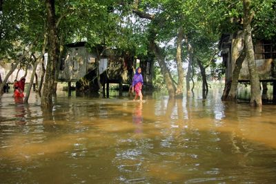 Four million people hit by floods in Bangladesh: UN