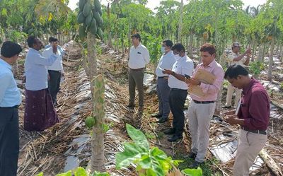 Ballari In-charge Secretary visits rain-hit areas